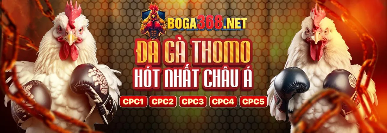 Điều khoản dịch vụ big79 web - Đại diện cho sự minh bạch và công bằng